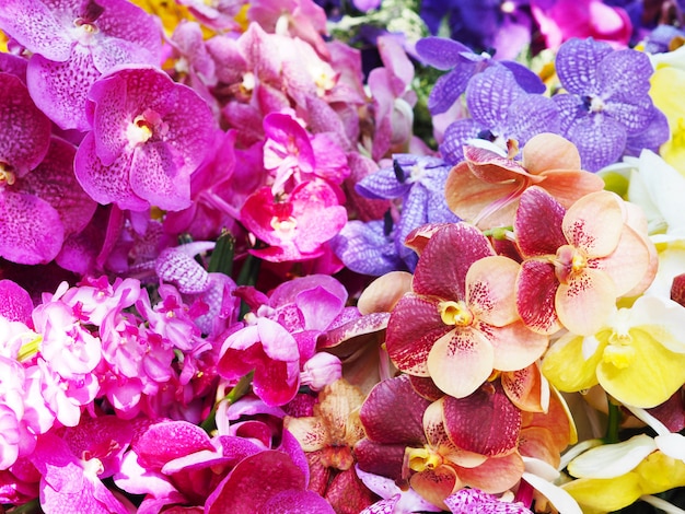 colorful Vanda orchid flower bouquet