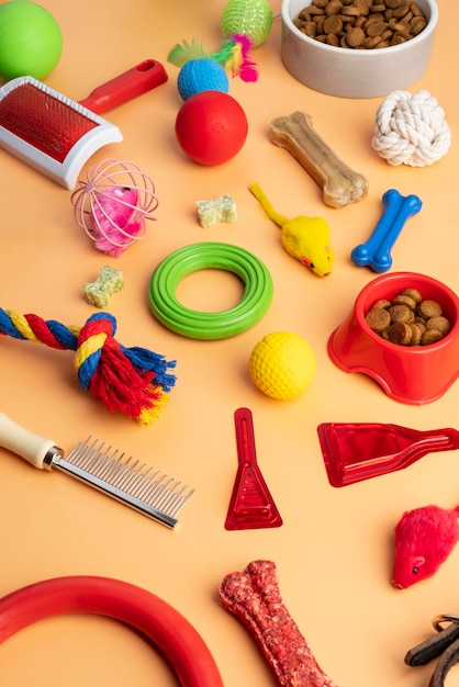 Colorful and various pet accessories still life concept