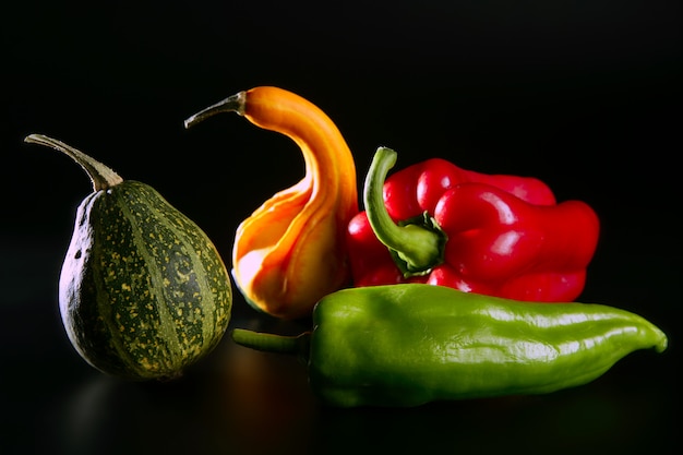 Colorful vegetables still on black