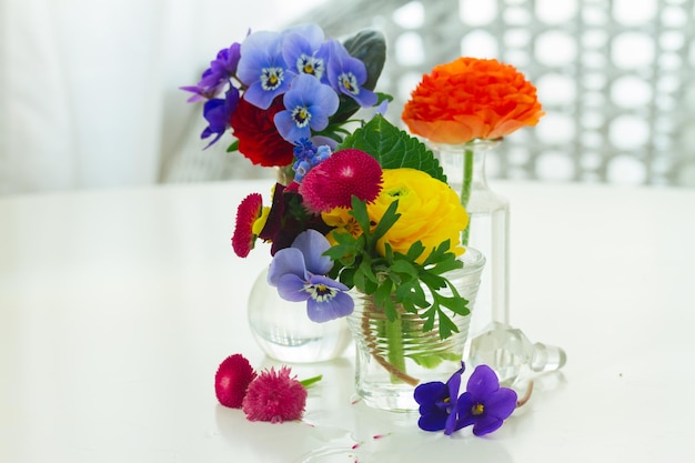 Colorful vibrant cut flowers in vases on white desktop