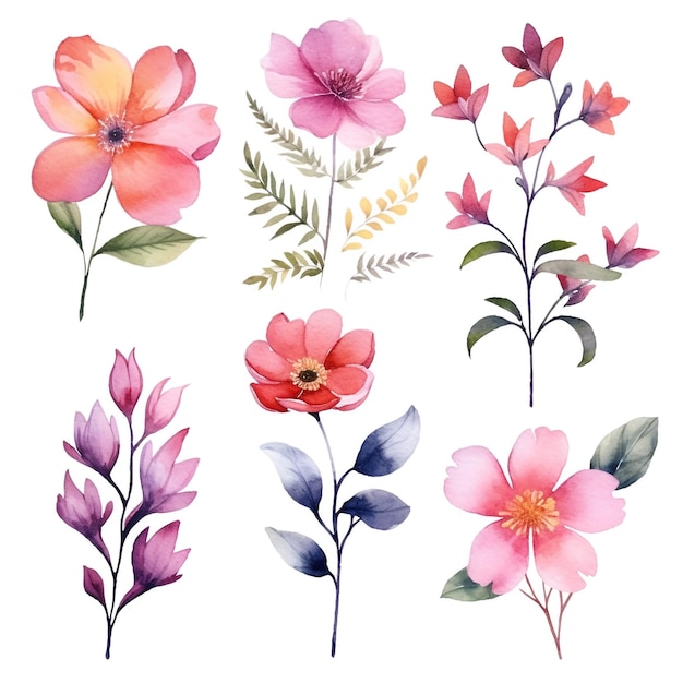 Colorful watercolor flowers on white background