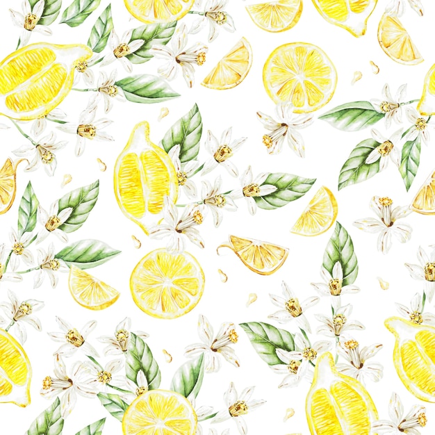 레몬 과일과 꽃으로 다채로운 수채화 패턴입니다. 삽화.
