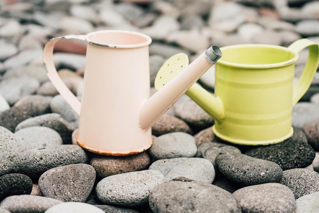 Colorful watering cans and buckets for plants in garden