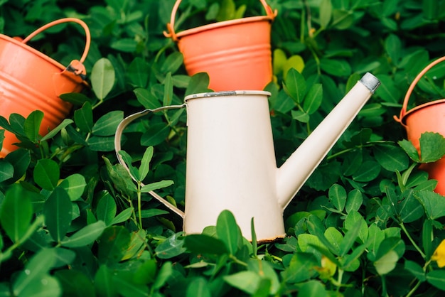 Colorful watering cans and buckets for plants in garden