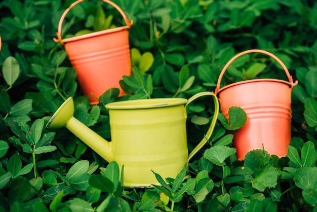 Photo colorful watering cans and buckets for plants in garden