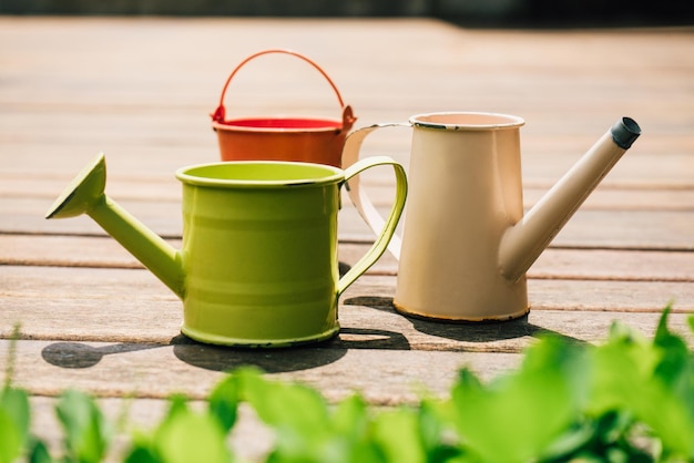 Colorful watering cans and buckets for plants in garden