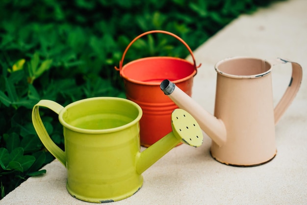 Colorful watering cans and buckets for plants in garden