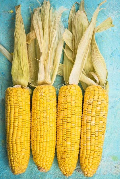 Colorful whole corn cob on blue table