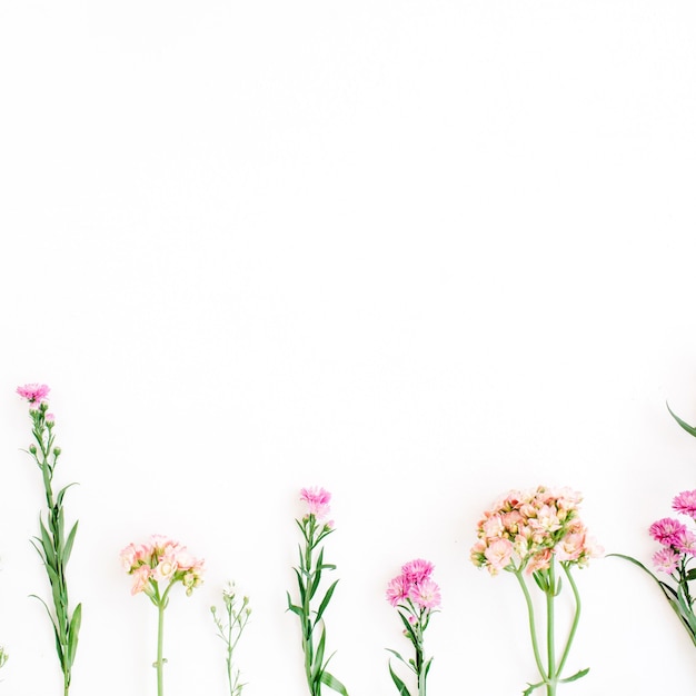 Colorful wildflowers on white