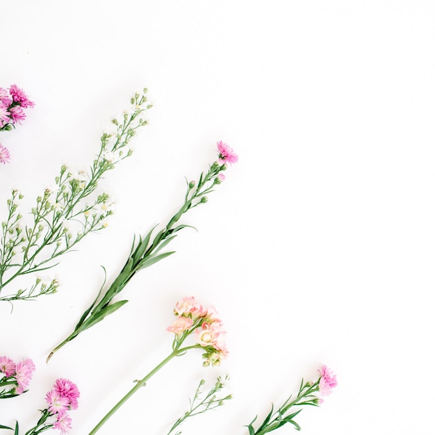 Colorful wildflowers on white