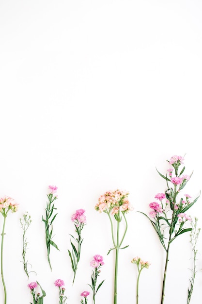 Colorful wildflowers on white