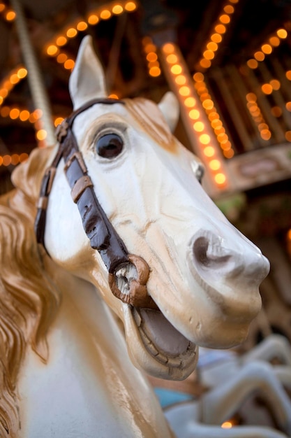 Colorful wooden horse