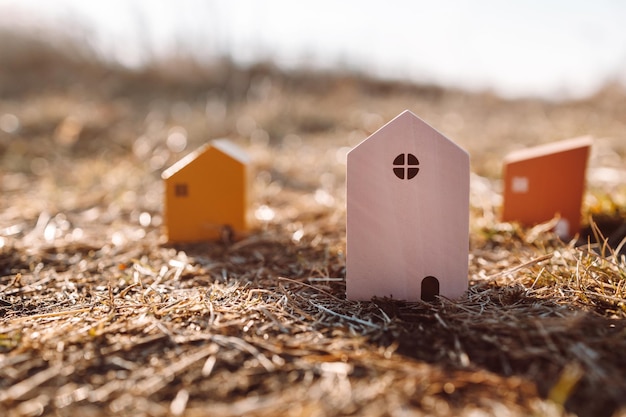 適切な日光住宅ブームと秋の自然草の背景にカラフルな木造ミニチュア家...