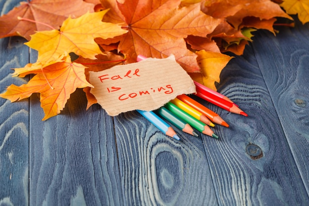 Photo colorful wooden pencils with autumn leafs on wooden table