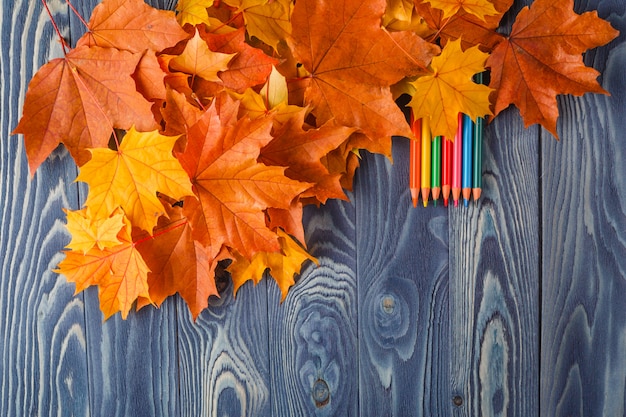 Foto matite di legno variopinte con le foglie di autunno sulla tavola di legno