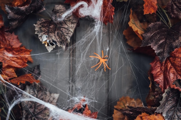 Colorful wreath for halloween hanging on wooden house door made of old orange maple leavesSpider webDecorating of porchHome outdoortstreet decorationentertainment for childrenhorror atmosphere