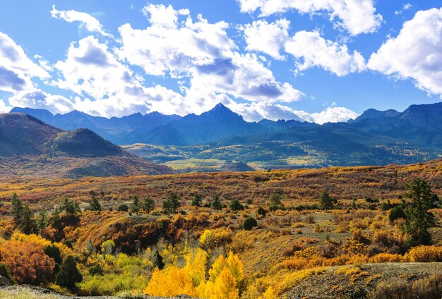 Colorful yellow autumn in Colorado, United States. Fall season.