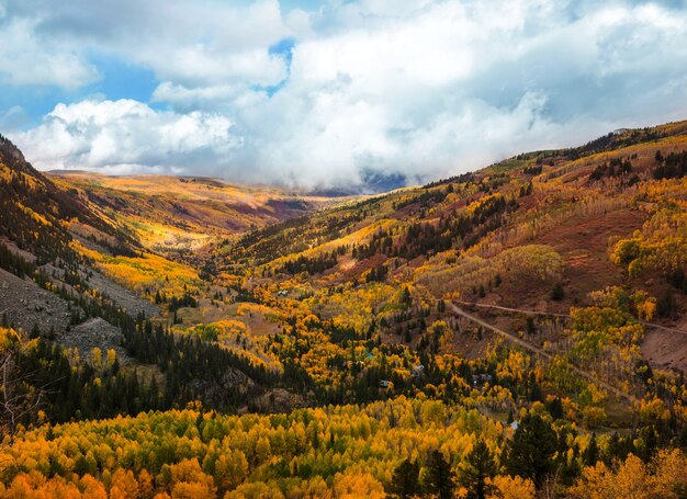 Colorful yellow autumn in Colorado, United States. Fall season.