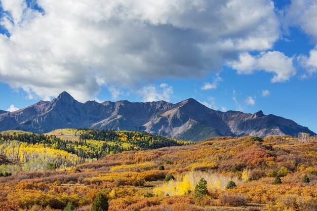 Красочная желтая осень в Колорадо, США. Осень.