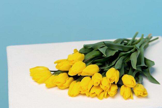 Colorful yellow tulip flowers on a blue background With space to copy Women's holiday Mothers' Day