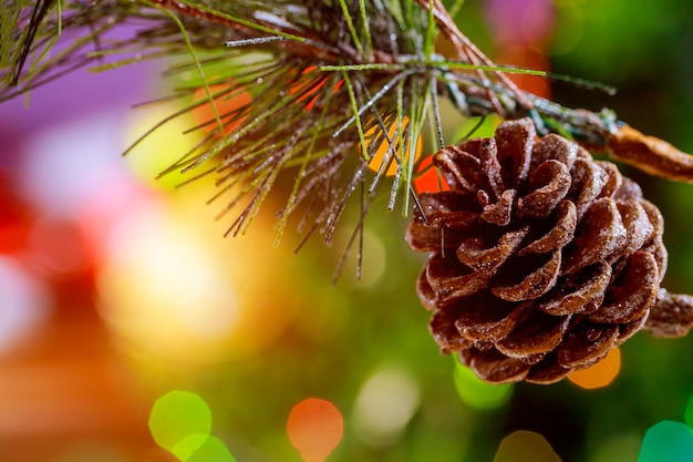 Colorfull Christmas background with pine cone branch.