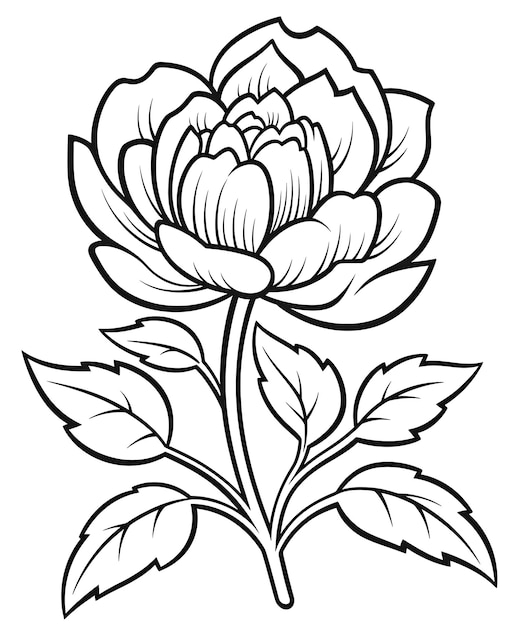 Coloring book floral background flowers on a white background Selective soft focus