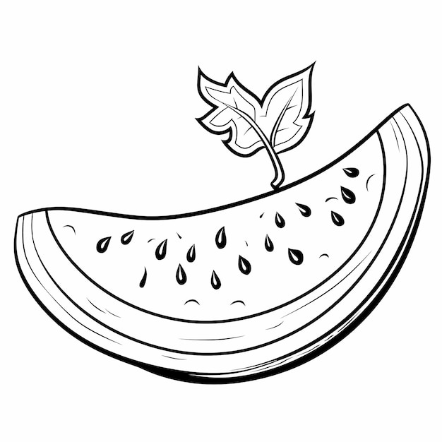 Coloring book for kids watermelon drawing use clean lines and leave enough free space