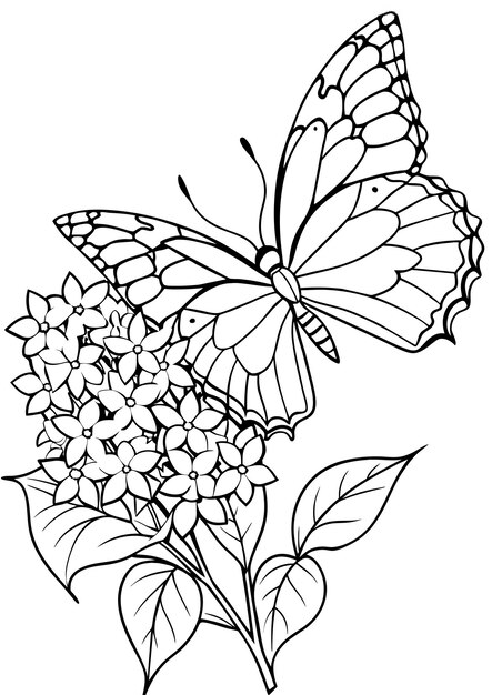 子供のためのカラーページ 蝶の花