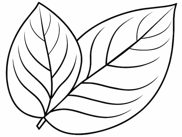 Photo coloring page design