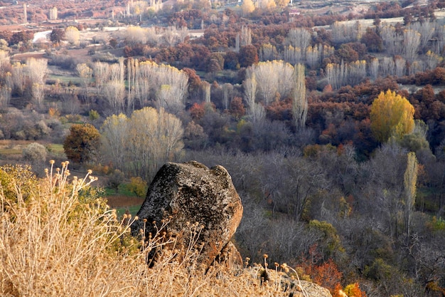 Colors of nature in autumnxAxA