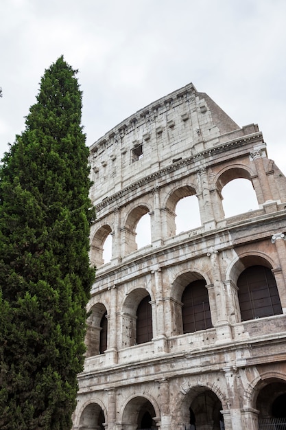 Colosseum in Rome