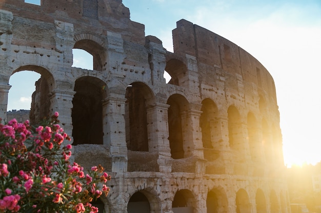 Colosseum in rome italy during sunrise rome architecture and landmark