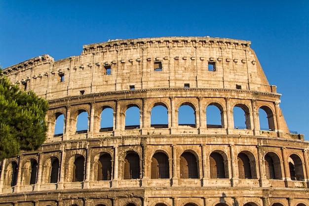 Colosseum in Rome Italy