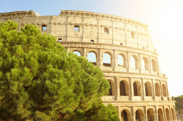 Colosseo a roma al tramonto, italia, europa.