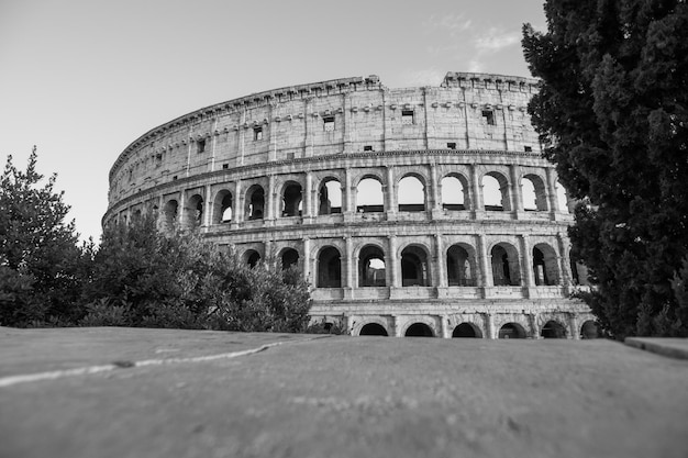 Foto il colosseo di roma