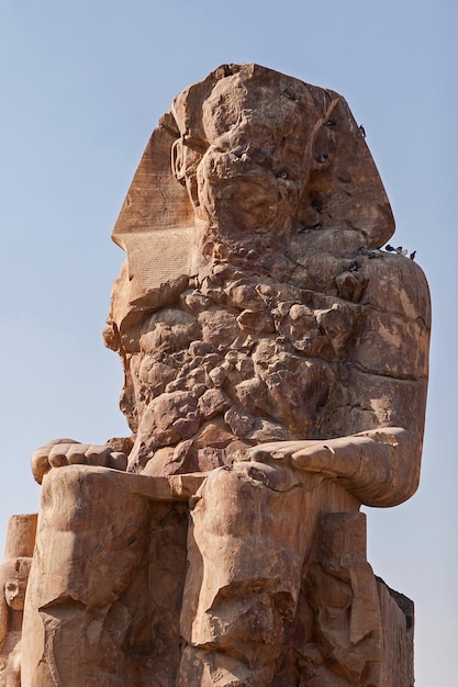 이집트의 새벽을 배경으로 한 멤논 룩소르 테베의 거상