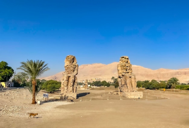 Colossi of memnon two massive stone statues representing the pharaoh luxor egypt