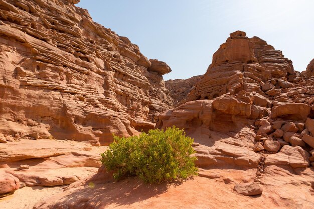 Coloured canyon is a rock formation on south sinai egypt\
peninsula desert rocks of multicolored sandstone background