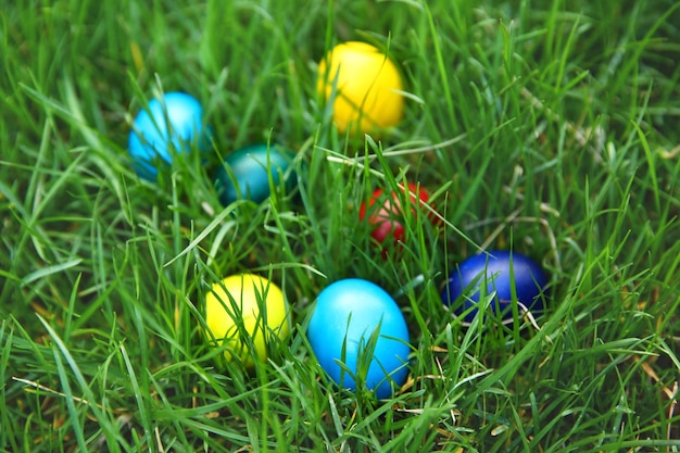 Coloured Easter eggs on green grass closeup