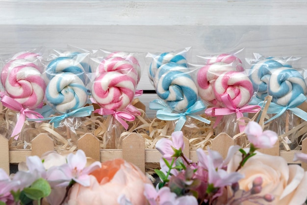 Photo coloured sweet lollypops with bows sugar candy on sticks in shop window lollipops