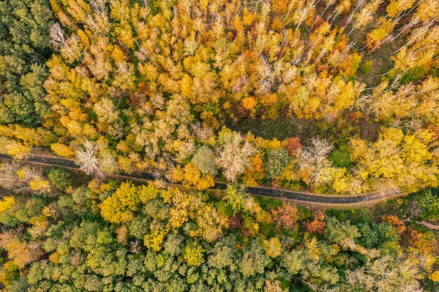 Красочная форма осеннего леса наверху с пустой дорогой, снятой дроном Естественный сезонный ландшафтный фон