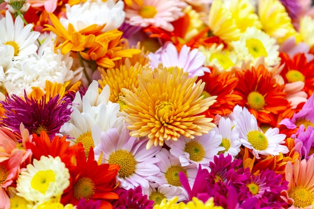 colourful bouquet of blooming flowers in outdoor market. typical atmosphere of flower