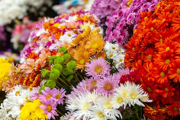 colourful bouquet of blooming flowers in outdoor market