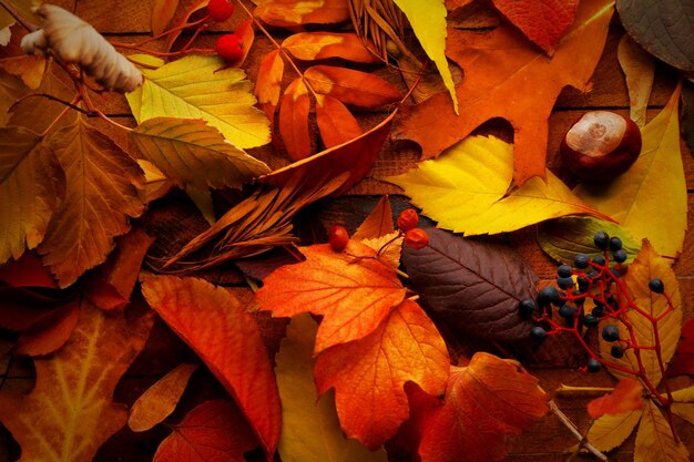 Foto sfondo di foglie autunnali caduti colorato e luminoso