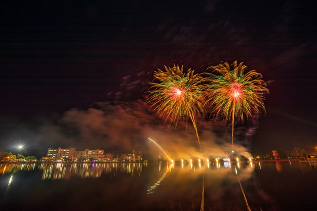 Colourful fireworks in the night of celebration.