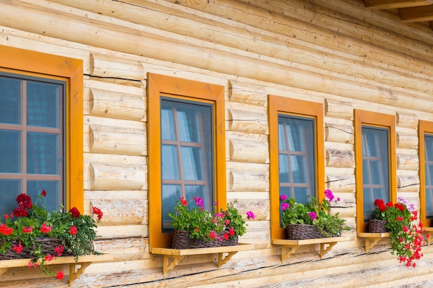 Fiori colorati in vasi da fiori su un davanzale in legno di un cottage in slovacchia