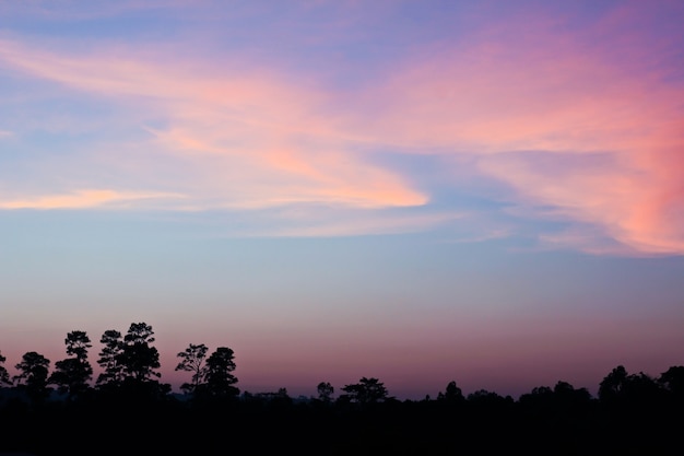 Photo colourful sky and forest silhouette at sunset.