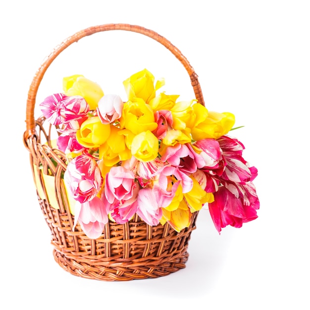 Colourful tulips in basket on white