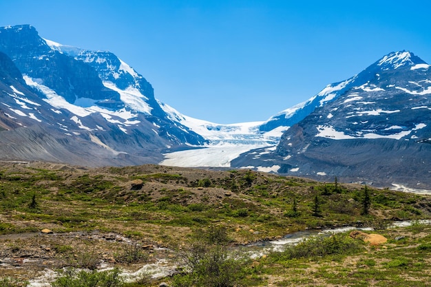 Columbia Icefield Glacier in 2021 summer Jasper National Park beautiful landscape Alberta Canada