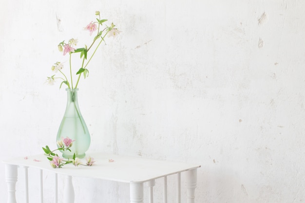 Columbine flowers in vase